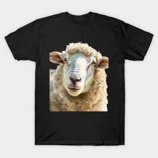 Sheep Wool Types T-Shirt